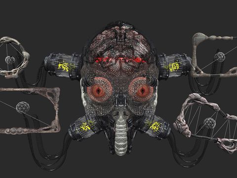 Project image 4